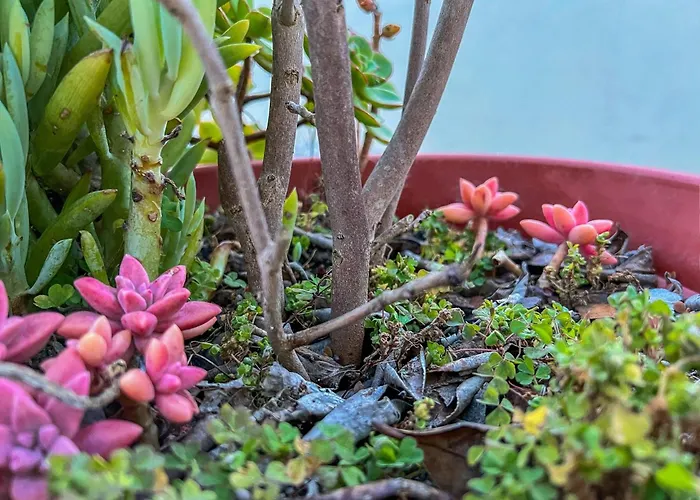 Villa Maison Familiale - *